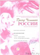 Превью фото № 246338