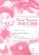 Превью фото № 246348