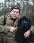 Превью фото № 246350