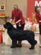 Превью фото № 246375