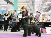 Превью фото № 246378