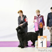 Превью фото № 246379