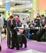 Превью фото № 246380