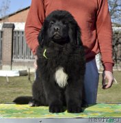 Превью фото № 246580