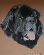 Превью фото № 246611