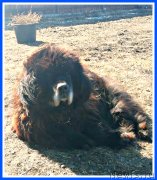 Превью фото № 246617