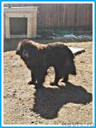 Превью фото № 246618