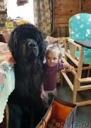 Превью фото № 246641