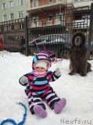 Превью фото № 246643