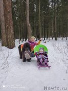 Превью фото № 246644