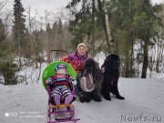 Превью фото № 246646