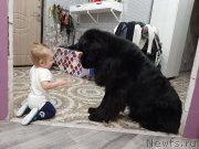 Превью фото № 246653