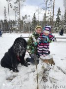 Превью фото № 246658