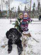 Превью фото № 246660