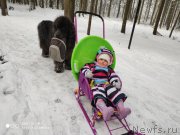 Превью фото № 246661