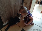 Превью фото № 246671