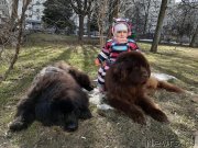 Превью фото № 246674