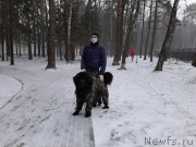 Превью фото № 246682