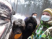 Превью фото № 246684