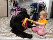 Превью фото № 246686