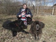 Превью фото № 246703