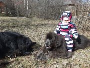 Превью фото № 246705