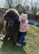 Превью фото № 246716