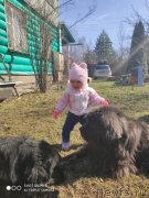 Превью фото № 246717