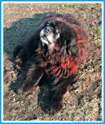 Превью фото № 246720