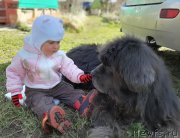 Превью фото № 246723