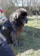 Превью фото № 246724