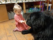 Превью фото № 246735