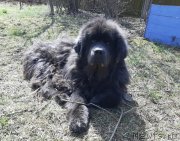 Превью фото № 246763