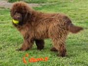 Превью фото № 246789