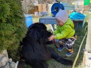 Превью фото № 246797