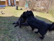 Превью фото № 246803