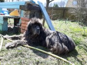 Превью фото № 246808