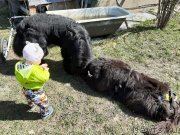 Превью фото № 246809