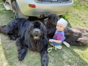 Превью фото № 246829