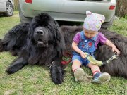 Превью фото № 246835