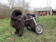 Превью фото № 246840