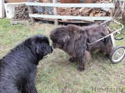 Превью фото № 246842