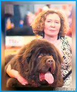 Превью фото № 246856