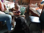 Превью фото № 246877