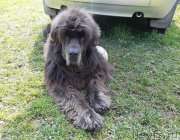 Превью фото № 246882