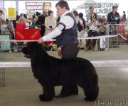 Превью фото № 246906