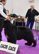 Превью фото № 246907