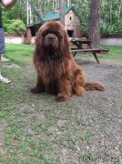 Превью фото № 246931