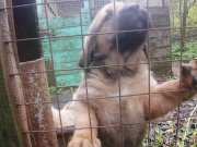 Превью фото № 246975