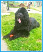 Превью фото № 246983